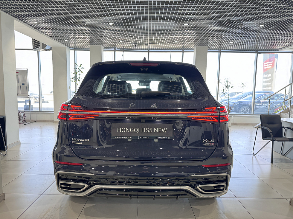 Hongqi HS5 Делюкс (Deluxe), коричневый