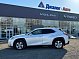 Lexus UX #discover, 2019 года, пробег 108973 км